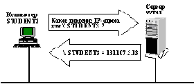    DNS  WINS   Windows NT